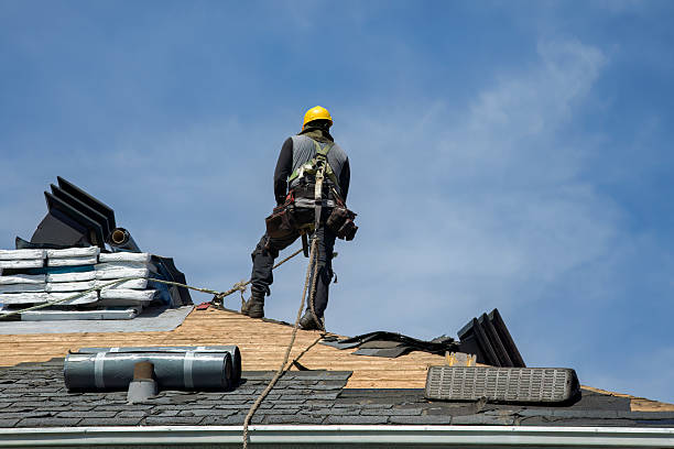 Professional Roof Replacement technician working in Potts Camp, MS